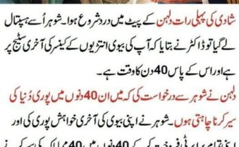 Best Gaming Monitors