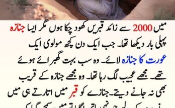 Commercial Real Estate Loans