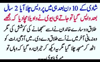 Highest Paying Affiliate Programs