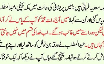 Top DeFi Investment Platforms to Watch in 2025