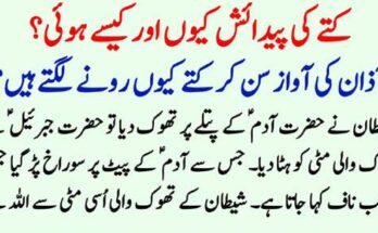 Houston Trucking Accident Attorneys