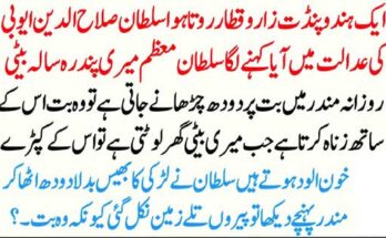 Online MBA Programs in 2025