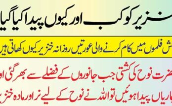 Crypto Trading Platforms USA: A Deep Dive