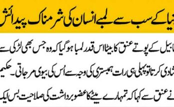 Auto Accident Attorneys in Colorado Springs