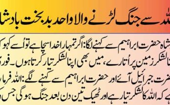 Personal Injury Attorneys in Lafayette, Louisiana