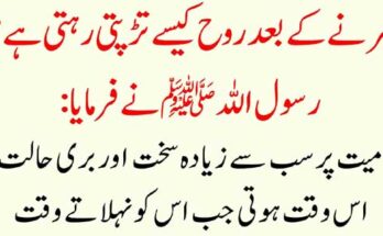 How to Earn Passive Income on Binance