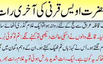 Business Insurance Quotes: The Complete Guide for Entrepreneurs