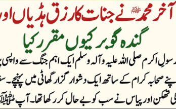 Home Insurance in 2025: Trends