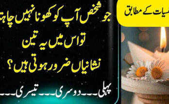 Health Insurance Plans