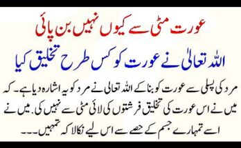 Merchant Account Services