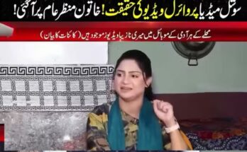 Business Accounting Software