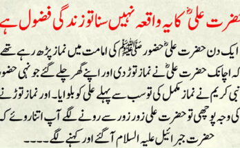 Disability Insurance Lawyers